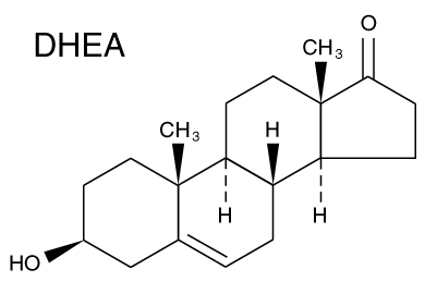 La molécule de DHEA