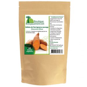 Acheter du Yam igname sauvage bio traitement du cancer et soulage de la ménopause avec la DHEA sur Biologiquement.com
